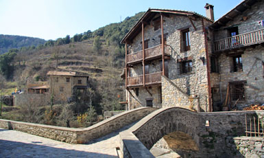 Beget